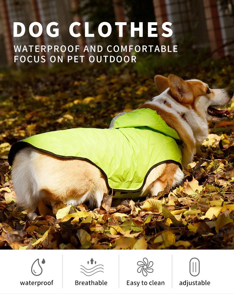 popular dogs clothes 1.jpg